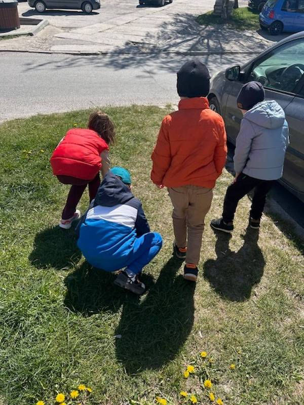ziemia_2026_55_original